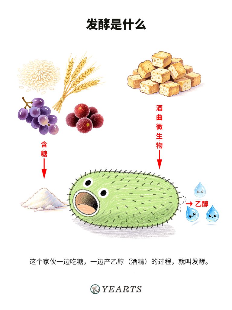 图片[3]-漫画解说中国酒文化-发酵酒-蒸馏酒-配制酒-yearts